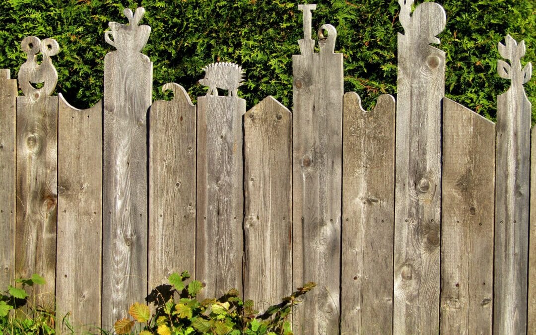 hedging v fencing - the pros and cons