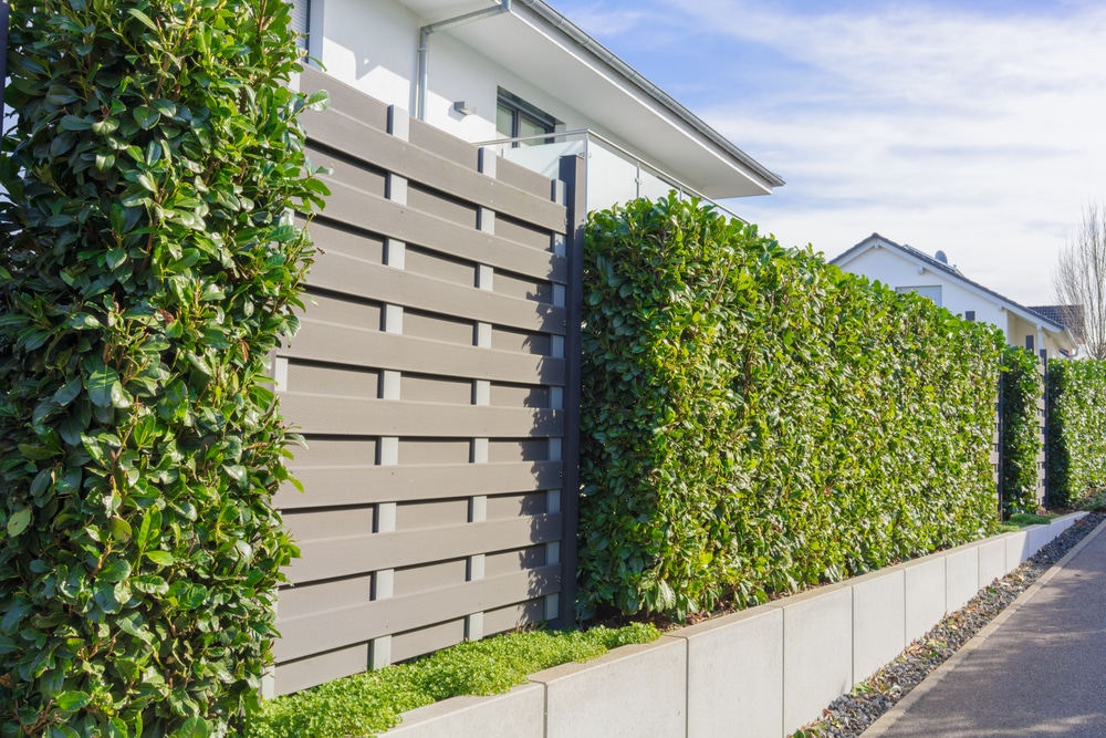 Transform Your Garden Into a Private Oasis – Get Creative With Fence Hedging