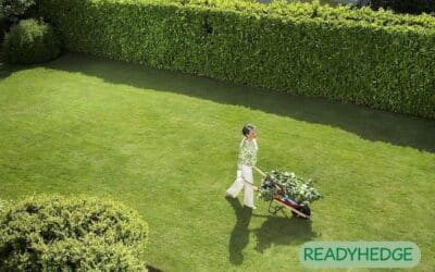 Creative Solutions for Sprucing Up Your Yard: 15 Ideas for Garden Hedge