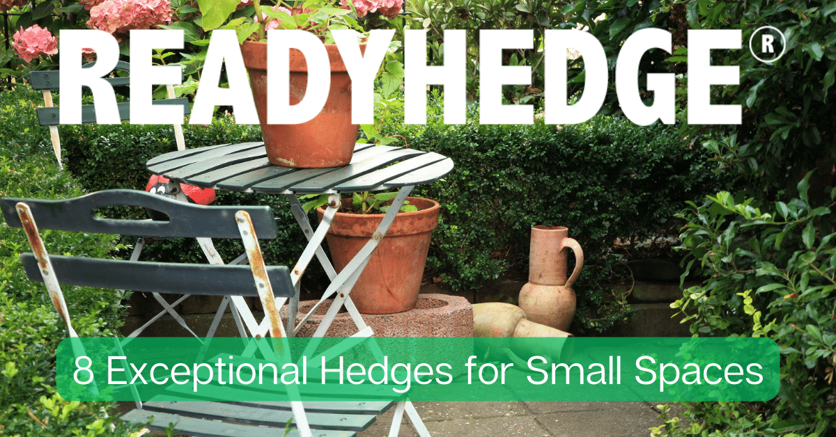 8 Exceptional Hedges for Small Spaces